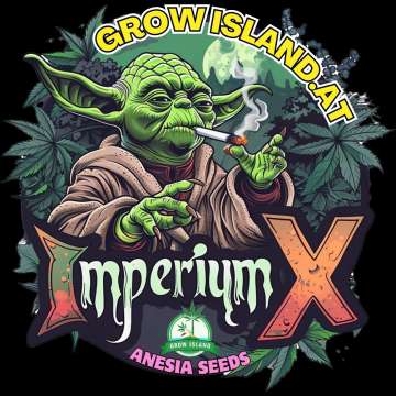 Imperium X logo, yoda from the star wars with a joint in the mouth standing between cannabis plants