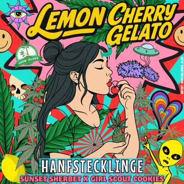 Lemon Cherry Gelato Girl and Cherry Lemon