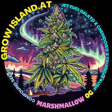 Marshmallow OG logo, a hemp big bud with the northern lights in the sky