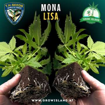 two hands holding two Mona Lisa seedling with dark green background, green grow island logo in the upper right corner, T.H. seeds logo in the left upper corner, seedling name text in the upper middle and growisland.at in the lower middle