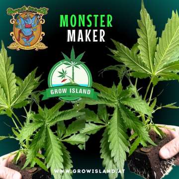 two hands holding two Monster Maker seedling with dark green background, green grow island logo in the middle, sweet seeds elephant logo in the left upper corner, seedling name text in the upper middle