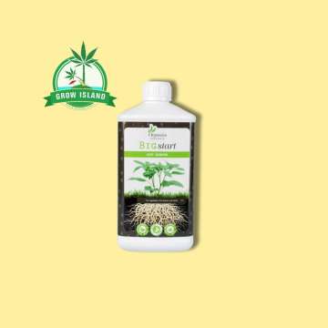 Big Start for roots from Organics Nutrients 1L white plastic bottle with yellow background and green Grow Island logo in the right upper corner