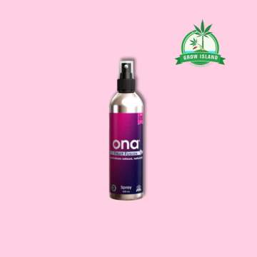 ONA Spray Fruit Fusion pink alu spray bottle with pink background and green Grow Island logo in the right upper corner