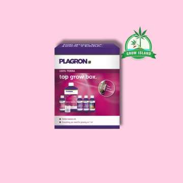 Top Grow Box Terra purple-white-pink paper box from Plagron with hell rose background and a green Grow Island logo in the right upper corner
