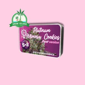 Platinum Mimosa Cookies Fast Version pink box with hell rose background and green grow island logo in the left upper corner