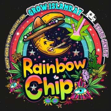 Rainbow Chip logo, A crescent moon with a cowboy hat and a joint in its mouth, a bong floating in front of it, and a rainbow in the background