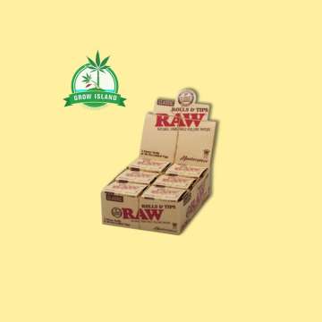 RAW Masterpiece Rolls + Tips in bigger box 12 pieces with yellow background and green Grow Island logo in the left upper corner