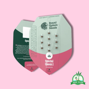 Special Queen Seeds in plastic holder on a white-pink paper with pink background and green Grow Island logo in the right corner