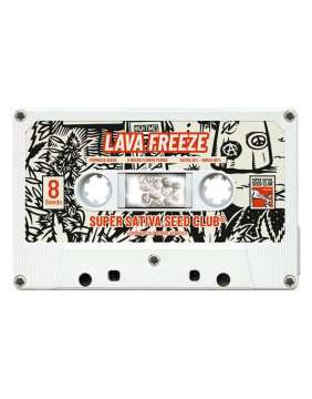 White cassette with the plant name Lava Freeze on it