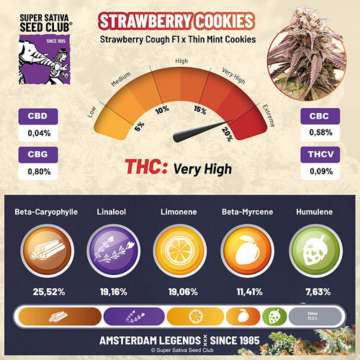 Super Sativa Seeds Club / FEM / Strawberry Cookies