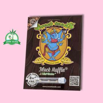 Black Muffin F1 Seeds in plastic holder on a paper with sweet seeds elephant logo and pink background and green Grow Island logo in the left corner