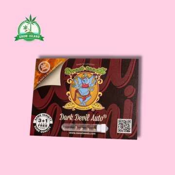 Dark Devil auto Seeds in plastic holder on a red paper with sweet seeds elephant logo and pink background and green Grow Island logo in the left corner
