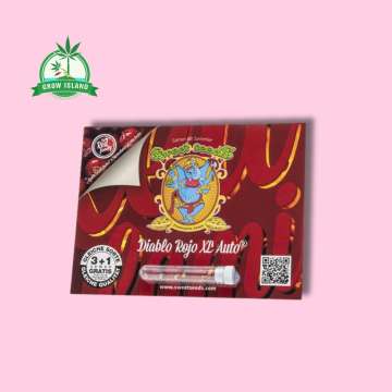 Diablo Rojo XL auto Seeds in plastic holder on a red paper with sweet seeds elephant logo and pink background and green Grow Island logo in the left corner