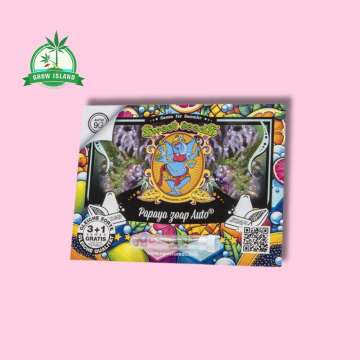 Papaya Zoap auto Seeds in plastic holder on a colorful paper with sweet seeds elephant logo and pink background and green Grow Island logo in the left corner