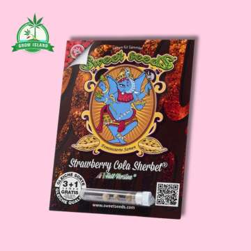 Strawberry Cola Sherbet F1 Seeds in plastic holder on a red paper with sweet seeds elephant logo and pink background and green Grow Island logo in the left corner