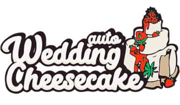 Wedding Cheesecake with a white cake on the right side